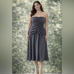 Zara Elegant Gray Strapless Dress